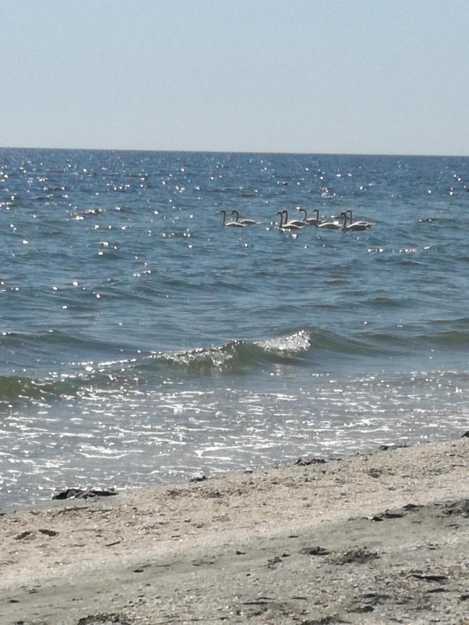 Mamaia Summerland Mrs Luaran gambar